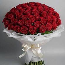 Букет 101 Красная роза Блэк Мэджик в Залукокоаже