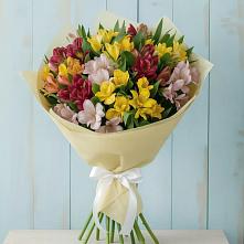 Букет цветов из:  Альстромерии #REPLACE_PRED# Залукокоаже