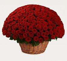 Премиум букет из: Розы в Залукокоаже