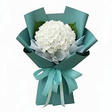Букет цветов из:  Гортензия в Залукокоаже